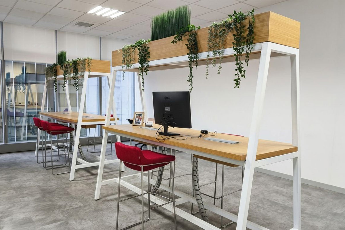 Monty — updated reception area